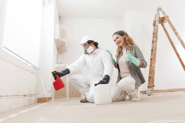 Reliable Atlantic Beach, NC Mold Inspection, Removal & Remediation Solutions